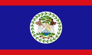 the Belize National flag