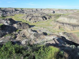 Horseshoe Canyon badlands landscape