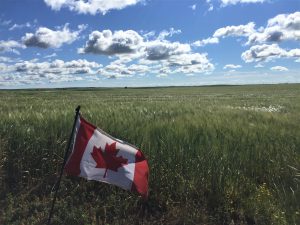 Saskatchewan prairies Canada flag