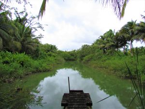 fish pond and dock