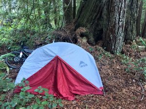 camping site at Avenue of the Giants