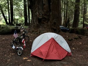 campsite at Avenue of the Giants