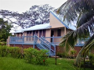 house, coconut tree, hibscus plant